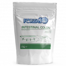 Forza 10 Intestinal colitis gatto 2 kg